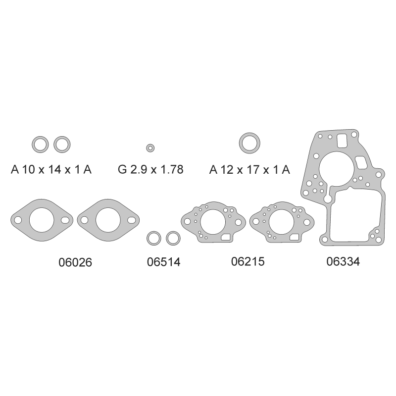Jgo.Jtas.Carburador RENAULT 12 - T