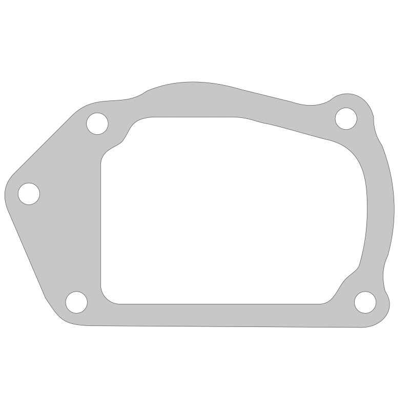 Jta.Placa Bomba de Agua IVECO