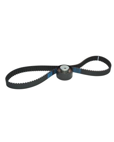 KIT DISTRIBUCION Fiat Brava-Bravo-Palio-Siena 1.3 16V - Motor Fire 1242 cc 16V