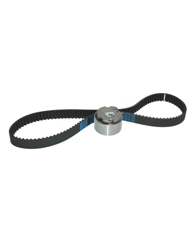 KIT DISTRIBUCION Fiat Fiorino Idea Palio IIIII Uno Punto Todos motor 14 8v FIRE